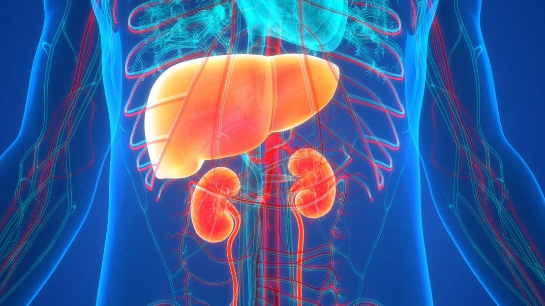Kidney Disease111111