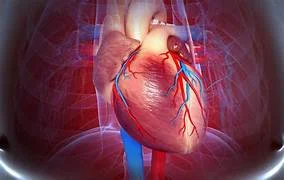 Cardiac Disease1111